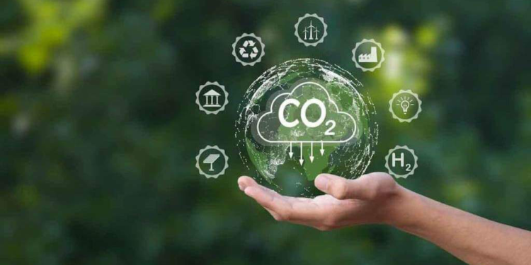 Mercados de carbono: Europa da una señal para un negocio que empieza a tomar forma en Argentina