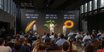 Más allá de la genética: Brevant apuesta al conocimiento para producir mejor