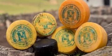 De Tafí del Valle al mundo: el queso que hizo historia y ahora busca conquistar nuevos mercados