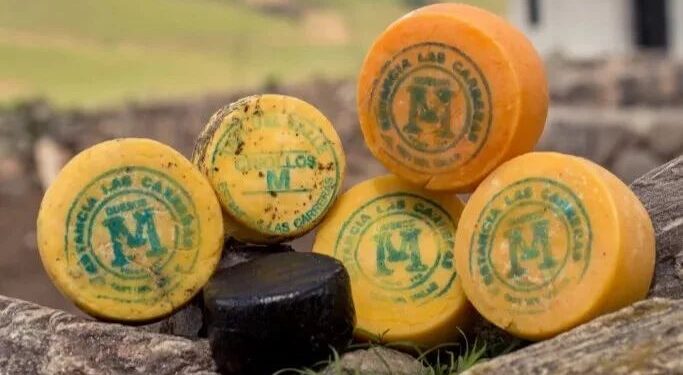 De Tafí del Valle al mundo: el queso que hizo historia y ahora busca conquistar nuevos mercados