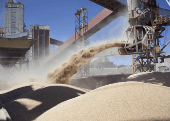Alerta agroexportadora: Europa detectó harina de soja argentina con el gen HB4 y podría frenar embarques