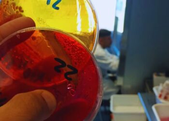 El laboratorio avícola del INTA se suma a la RedLab y refuerza el control sanitario del sector