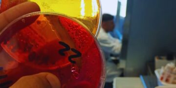 El laboratorio avícola del INTA se suma a la RedLab y refuerza el control sanitario del sector