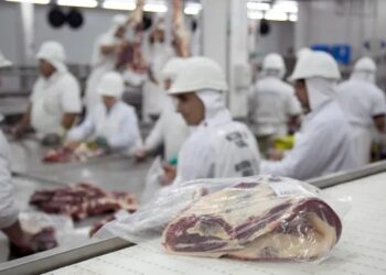 Argentina monta el “Lollapalooza” de la carne en Estados Unidos para aprovechar la mayor cuota de Trump