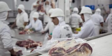 Argentina monta el “Lollapalooza” de la carne en Estados Unidos para aprovechar la mayor cuota de Trump