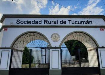Ley de semillas: el agro debate su futuro entre innovación, costos y reglas de juego