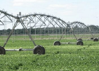 El Gobierno reglamentó el RIMI y confirmó beneficios especiales para riego, mallas antigranizo y genética animal