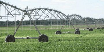 El Gobierno reglamentó el RIMI y confirmó beneficios especiales para riego, mallas antigranizo y genética animal