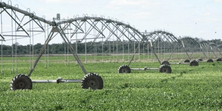 El Gobierno reglamentó el RIMI y confirmó beneficios especiales para riego, mallas antigranizo y genética animal