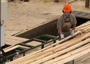 Madera, papel y valor agregado: el motor silencioso que impulsa las exportaciones