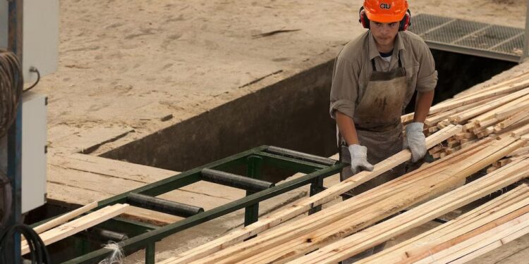 Madera, papel y valor agregado: el motor silencioso que impulsa las exportaciones