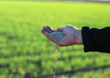 Urea en niveles récord: el costo oculto de la crisis global que aprieta al productor argentino