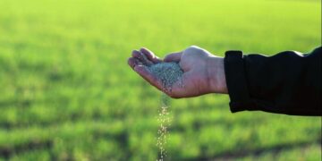 Urea en niveles récord: el costo oculto de la crisis global que aprieta al productor argentino