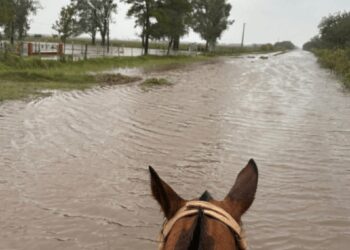 Inundaciones: Santa Fe lanza créditos por casi $ 18.000 millones para productores afectados