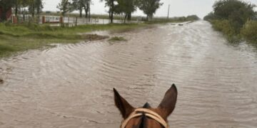 Inundaciones: Santa Fe lanza créditos por casi $ 18.000 millones para productores afectados