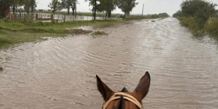 Inundaciones: Santa Fe lanza créditos por casi $ 18.000 millones para productores afectados