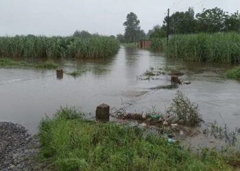 Temporal en Tucumán: desde el INTA dieron a conocer números alarmantes tras un fin de semana con mucha lluvia