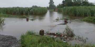 Temporal en Tucumán: desde el INTA dieron a conocer números alarmantes tras un fin de semana con mucha lluvia