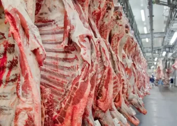 La Unión Europea excluyó a Brasil de la lista de países habilitados para exportar carne
