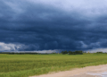 El Niño se confirma en el horizonte: qué oportunidades y amenazas trae para el agro