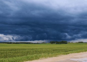 El Niño se confirma en el horizonte: qué oportunidades y amenazas trae para el agro