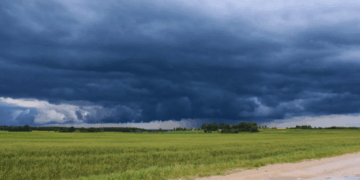 El Niño se confirma en el horizonte: qué oportunidades y amenazas trae para el agro
