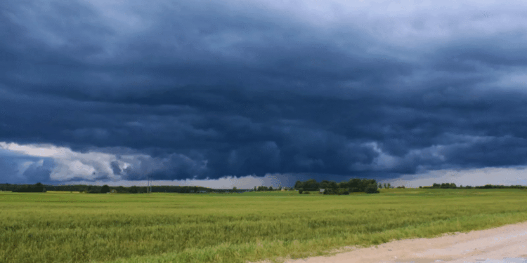 El Niño se confirma en el horizonte: qué oportunidades y amenazas trae para el agro