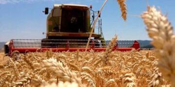 El agro vuelve a la carga por las retenciones, porque “producir una hectárea de trigo será U$S 110 más caro”