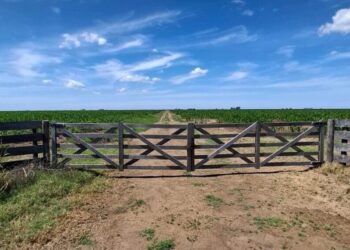Dos miradas sobre la Ley de Tierras Rurales: ¿llave para el desarrollo o desequilibrio estructural?