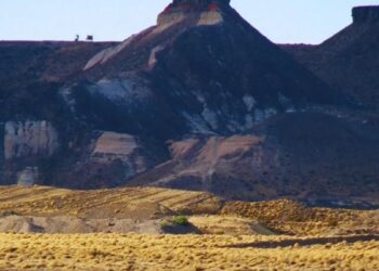 Pastizales: un estudio global ajusta su superficie y revela mayor captura de carbono