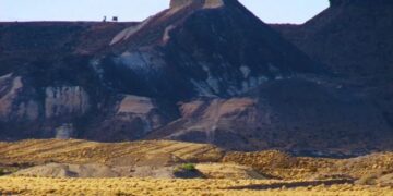 Pastizales: un estudio global ajusta su superficie y revela mayor captura de carbono