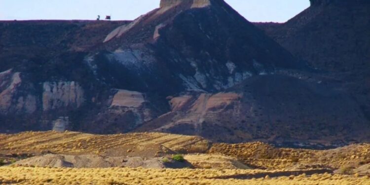 Pastizales: un estudio global ajusta su superficie y revela mayor captura de carbono