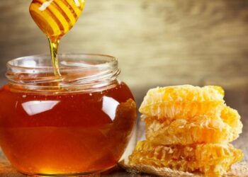 Semana de la Miel: la actividad silenciosa que sostiene gran parte de los alimentos que consumimos