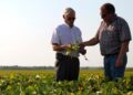 Cuando el conflicto no es el tractor: las historias invisibles detrás de las empresas familiares agropecuarias