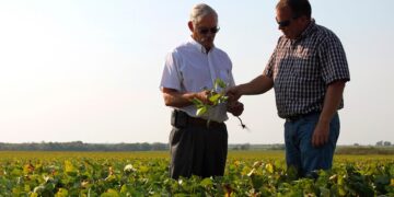 Cuando el conflicto no es el tractor: las historias invisibles detrás de las empresas familiares agropecuarias