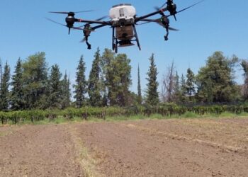 AgroActiva 2026: la tecnología y el financiamiento marcan el pulso de las inversiones para el campo