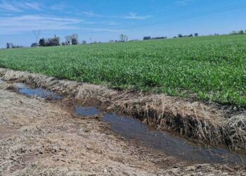El Niño, cada vez más cerca: “Es una oportunidad que tenemos que usar para tomar buenas decisiones”