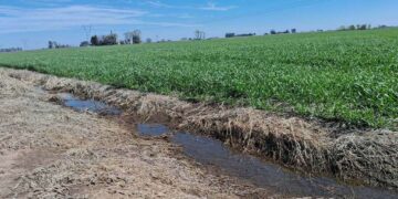El Niño, cada vez más cerca: “Es una oportunidad que tenemos que usar para tomar buenas decisiones”