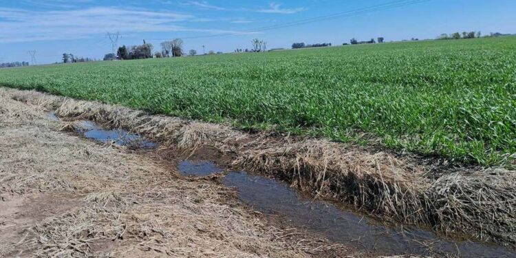 El Niño, cada vez más cerca: “Es una oportunidad que tenemos que usar para tomar buenas decisiones”