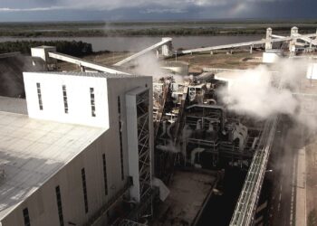 Continúa el conflicto salarial aceitero: nuevas acusaciones de la industria contra el gremio