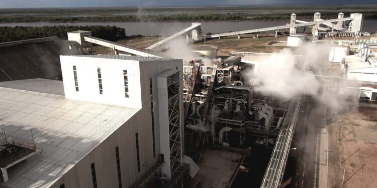 Continúa el conflicto salarial aceitero: nuevas acusaciones de la industria contra el gremio