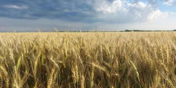 El Niño entra en escena y así va a estar el tiempo: ¿Qué se espera para el nuevo mes?