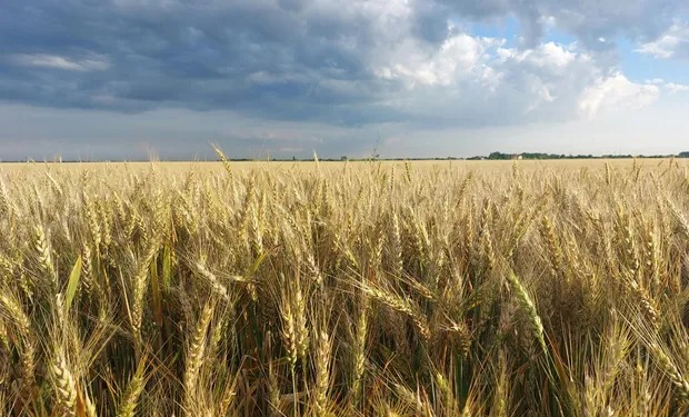 El Niño entra en escena y así va a estar el tiempo: ¿Qué se espera para el nuevo mes?