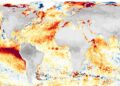 El Niño, “una alerta climática urgente”: fuerte advertencia de la Organización Meteorológica Mundial