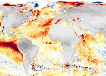 El Niño, “una alerta climática urgente”: fuerte advertencia de la Organización Meteorológica Mundial