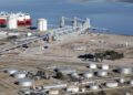 Estará en Bahía Blanca: invertirán U$S 400 millones para una planta de molienda de girasol y soja