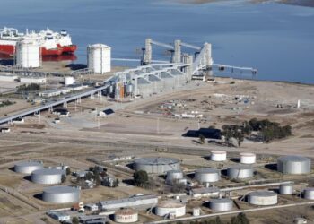 Estará en Bahía Blanca: invertirán U$S 400 millones para una planta de molienda de girasol y soja