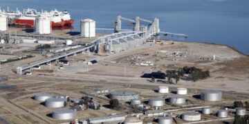 Estará en Bahía Blanca: invertirán U$S 400 millones para una planta de molienda de girasol y soja