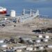 Estará en Bahía Blanca: invertirán U$S 400 millones para una planta de molienda de girasol y soja