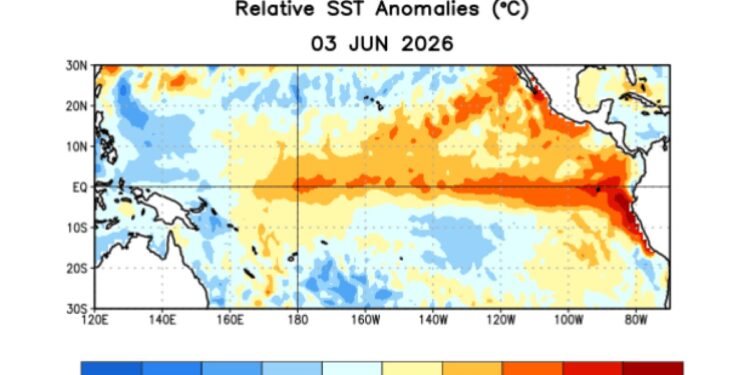 El Niño viene con todo: la probabilidad es del 100% a partir del invierno y con intensidad “muy fuerte”